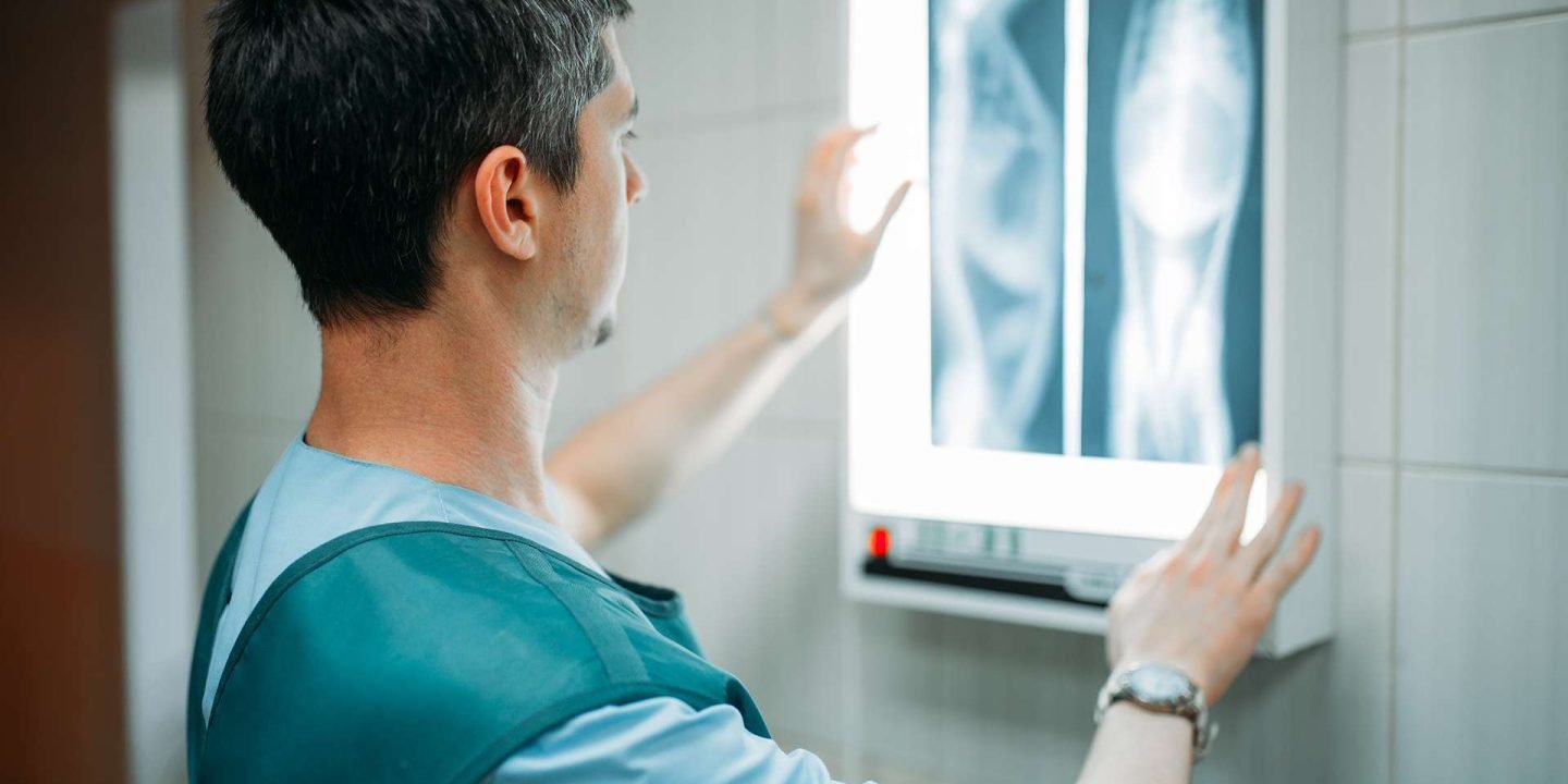 Veterinarian looks at the x-ray of the dog, veterinary clinic. Vet doctor, treatment a sick dog