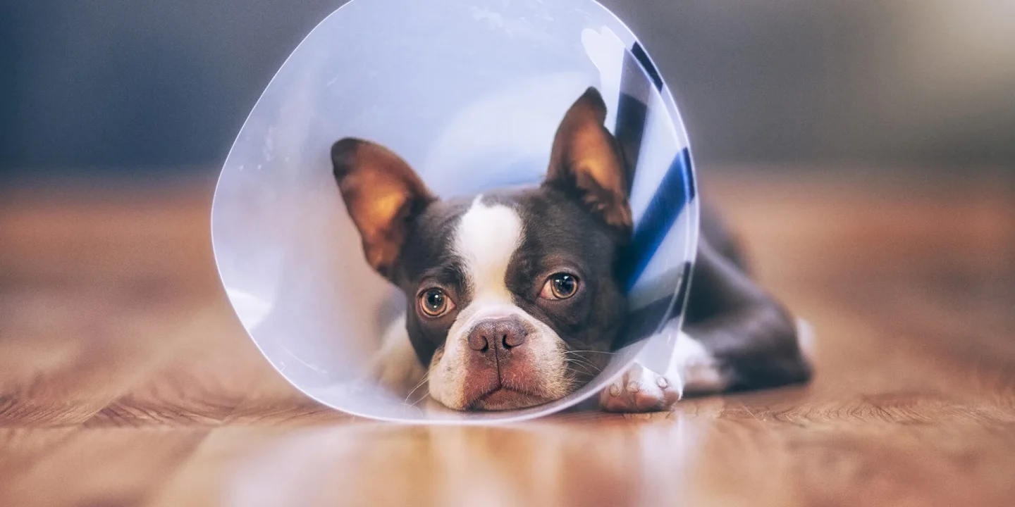 img-entrada_alerta-cirugia-03